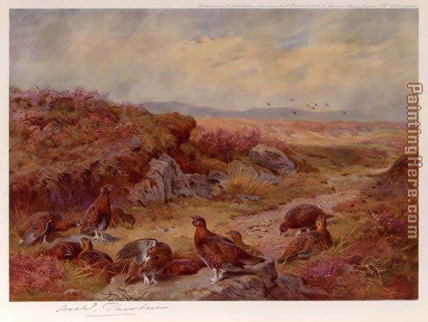 Grouse on the Peat Bogs painting - Archibald Thorburn Grouse on the Peat Bogs art painting